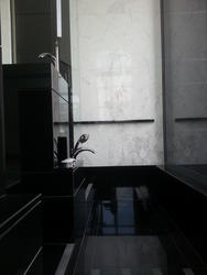 The Trizon (D10), Condominium #131097892